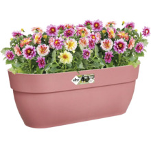 Bloembak met kleurrijke dahlia''s