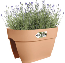 Bloempot beplant met lavendel
