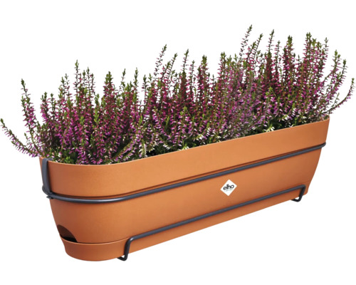 Heide in langwerpige plantenbak met houder