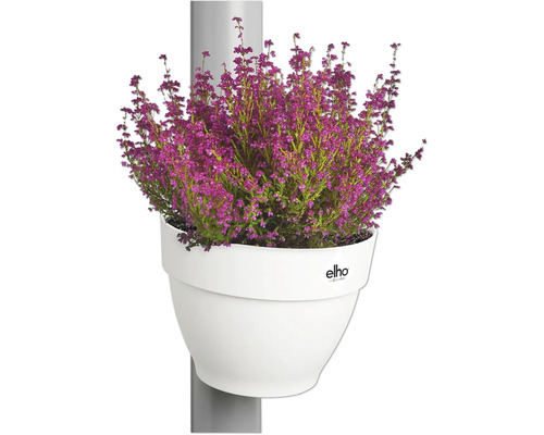 Afbeelding van een heideplant in een witte Elho bloempot, die aan een grijze paal is bevestigd.
