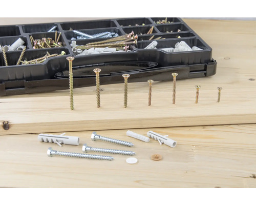 Assortimentsdoos met diverse schroeven en pluggen op houten ondergrond