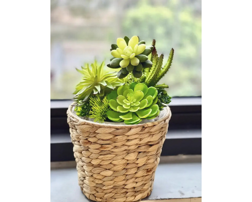 Succulentenarrangement in gevlochten mand