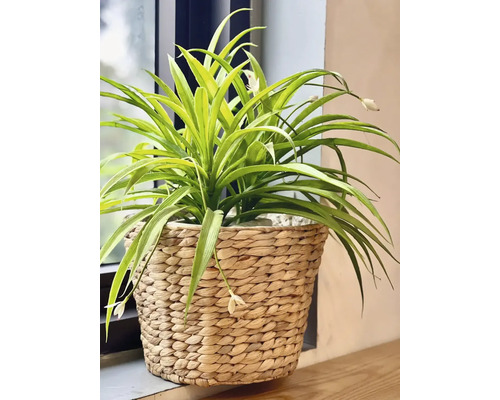 Kunstmatige groene plant met bloemen in een gevlochten mand
