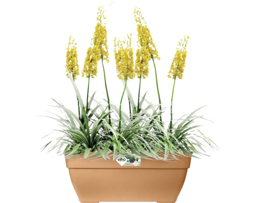 Bloembak met gele bloemen en groene bladeren