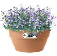 ELHO Bloempot Vibia Campana Kunststof bruin Ø 34 cm H 17,5 cm