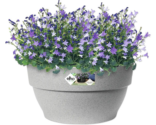 Bloemen in pot met Elho Logo