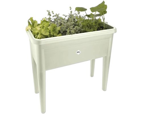 Verhoogde plantenbak met sla, kruiden en andere planten.