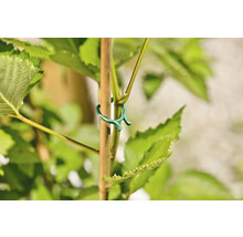 FLORASELF Plantenbind clips 50 st.