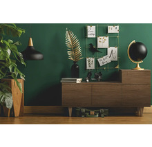 Woonkamer met dressoir, decoratie en kamerplant voor een gezellige sfeer