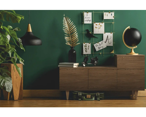 Woonkamer met dressoir, decoratie en kamerplant voor een gezellige sfeer