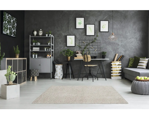 Woonkamer met vloerkleed, plank, bureau en decoratie