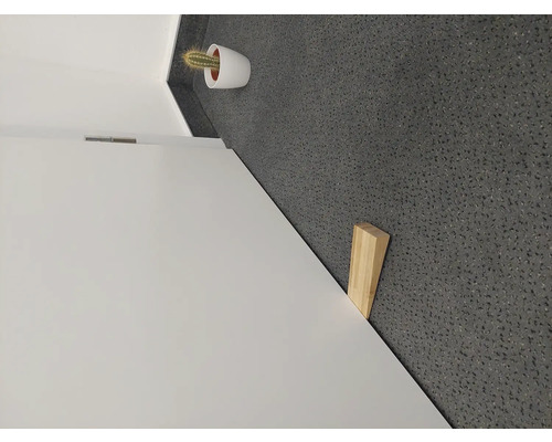 Binnendeur met deurstopper en cactus in pot