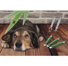 Hond ligt verdrietig op de grond naast tekentangen en een teek op een blad