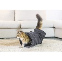 Kat in een kattentunnel op een tapijt voor een bank