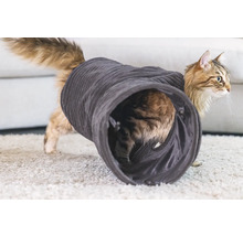 Kat speelt in een kattentunnel