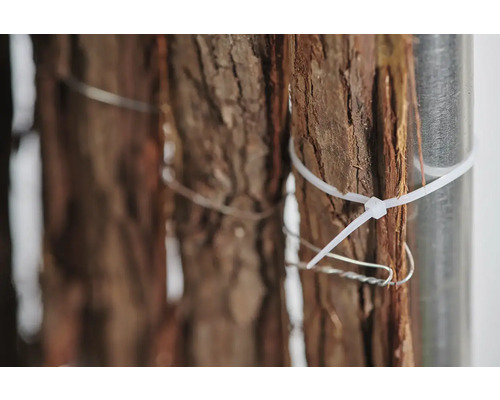 Close-up van boomschors, bevestigd met kabelbinders en draad aan een metalen paal