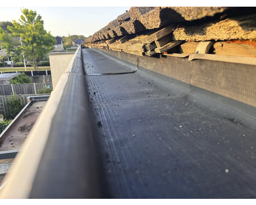 Dakgoot met bladvanger