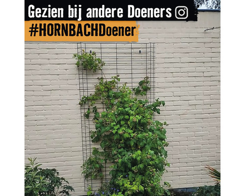 Een klimhulp met planten voor een muur.