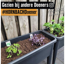 Hoge plantenbakken met kruiden en aardbeienplanten voor een houten schutting