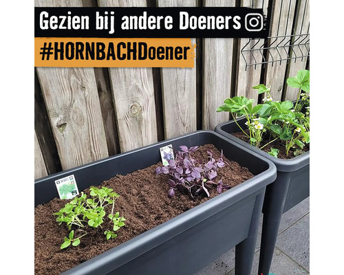 Hoge plantenbakken met kruiden en aardbeienplanten voor een houten schutting