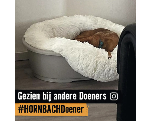 Hond slaapt in een grijs hondenbed met een wit kunstvachtkussen