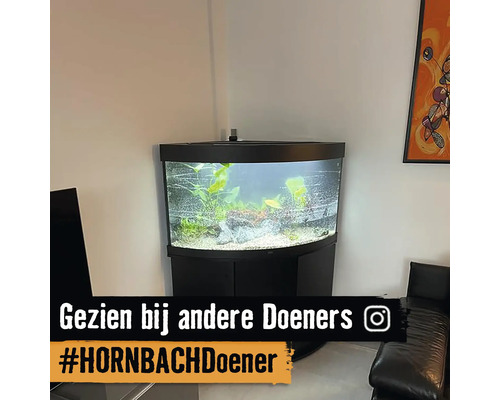 Hoekaquarium met waterplanten en vissen in de woonkamer