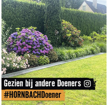 Een tuin met bloeiende planten en struiken, ontworpen door een Hornbach-klant