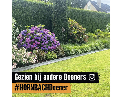 Een tuin met bloeiende planten en struiken, ontworpen door een Hornbach-klant