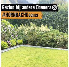 Tuinlandschap met gazon en diverse planten
