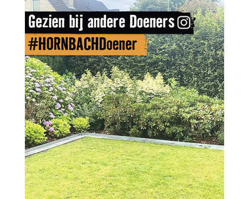 Tuinlandschap met gazon en diverse planten