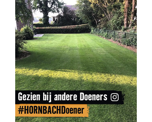 Goed onderhouden gazon in een tuin met hek en haag