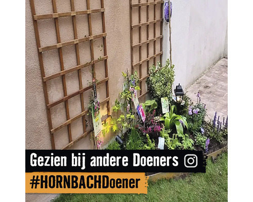 Tuinscene met planten, klimrekken en tuinverlichting