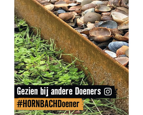 Decoratieve tuininrichting met schelpen en planten naast een metalen rand