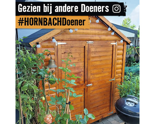 Houten tuinhuis met verlichting en planten in de tuin