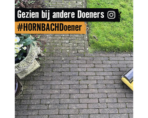 Bestraat tuinpad met bloembak en gazon