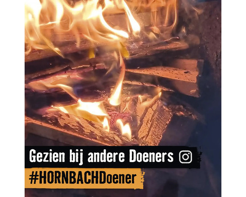 Brandend hout in het vuur