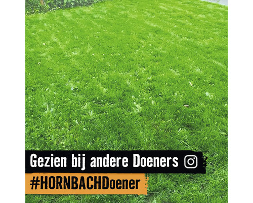 Close-up van een gazon