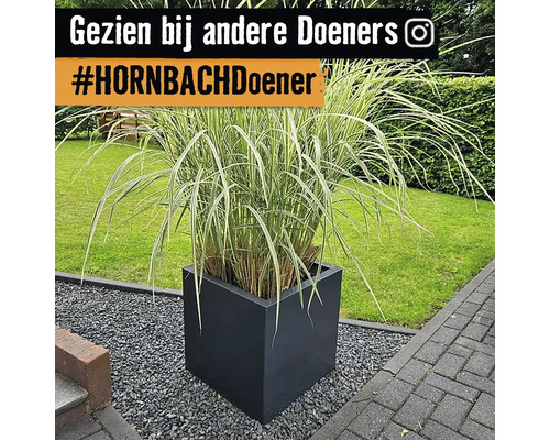 Gras in een vierkante plantenbak in de tuin