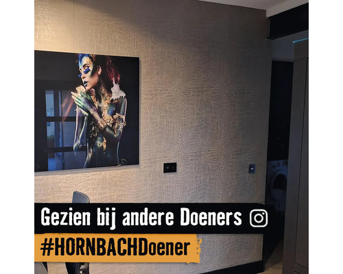 Kamerzicht met patroonbehang, afbeelding en schakelaar