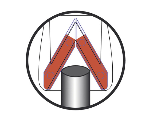Illustratie van een pijpschelpdrager in dwarsdoorsnede