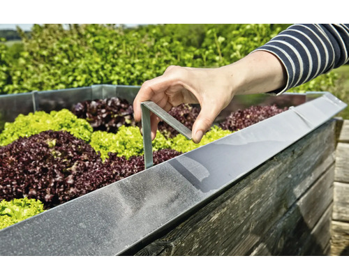 Verhoogde tuinbak met sla en een persoon die een beugel bevestigt