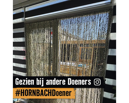Decoratief venster met lamellen en draadgordijn