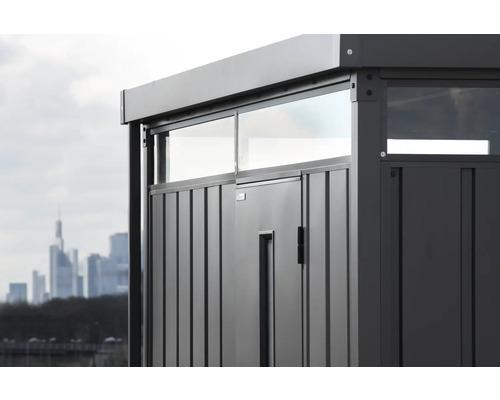 Detailweergave van een tuinhuis met deur en ramen