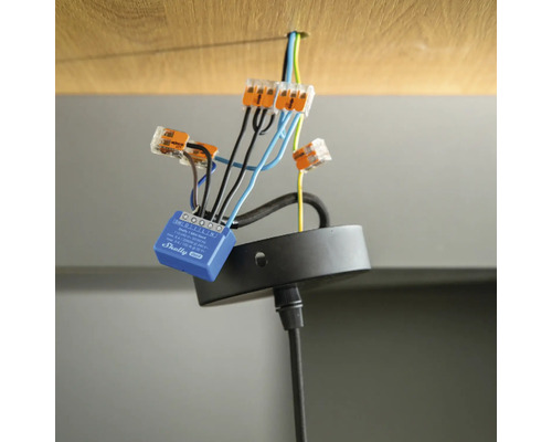Bedrading van een lamp met Wago klemmen en Shelly module
