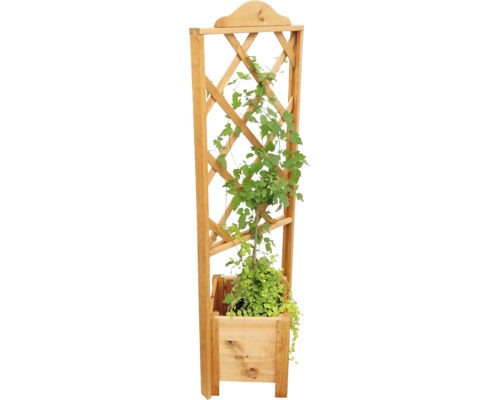Houten plantenbak met klimrek en beplanting
