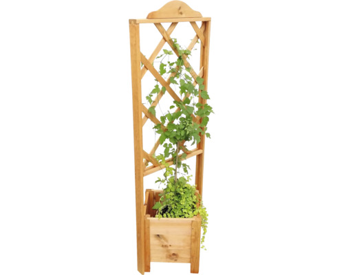 Houten plantenbak met klimrek en groene plant