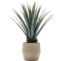 Kunstmatige agave in een pot