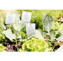 Tuin met plantenlabels en diverse groenten