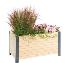 Houten plantenbak met grassen en bloemen