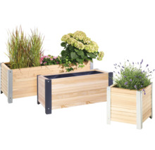 Houten bloembakken met planten